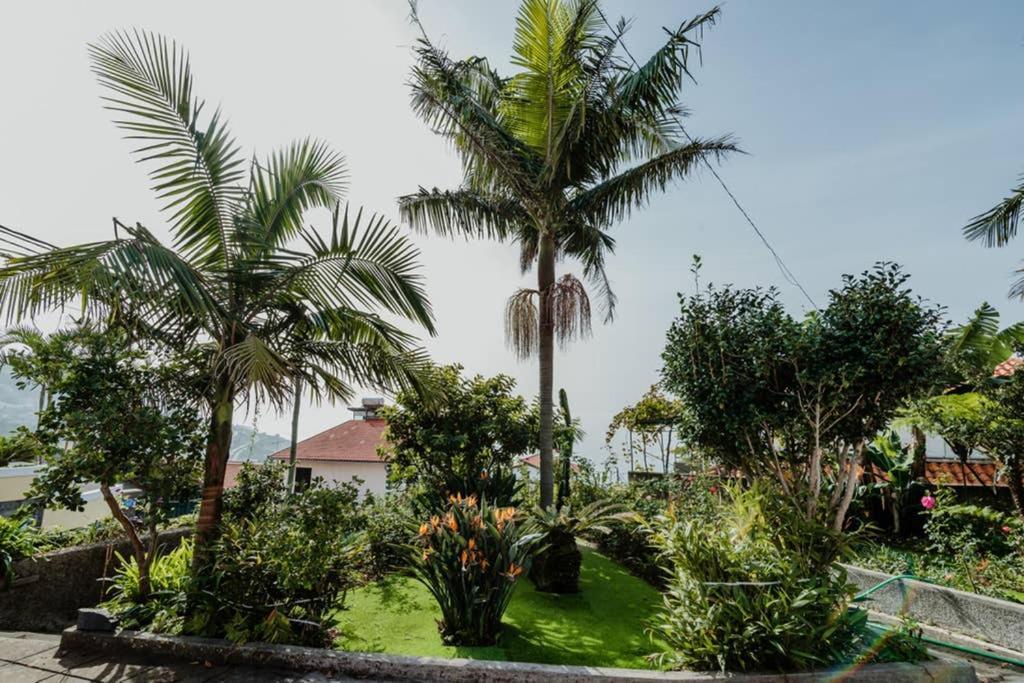City View Gardens Funchal  Eksteriør billede