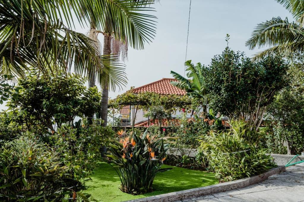 City View Gardens Funchal  Eksteriør billede